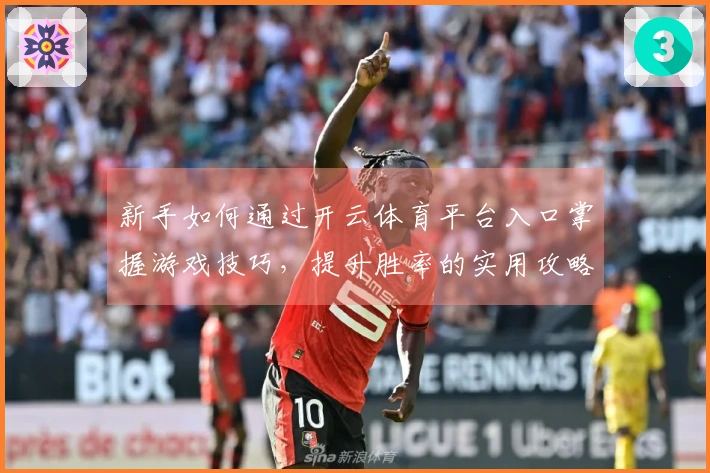 新手如何通过开云体育平台入口掌握游戏技巧，提升胜率的实用攻略