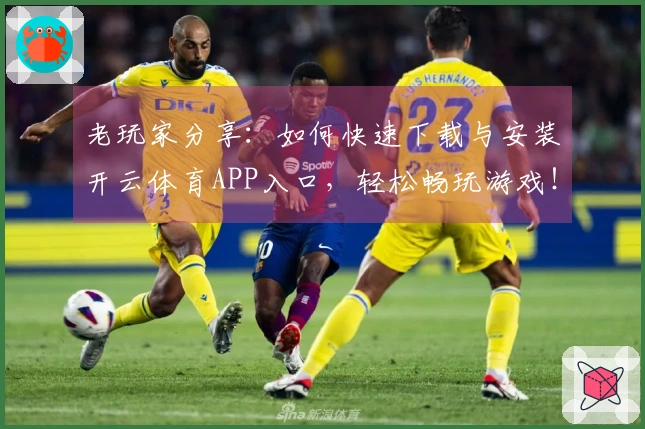 老玩家分享：如何快速下载与安装开云体育APP入口，轻松畅玩游戏！